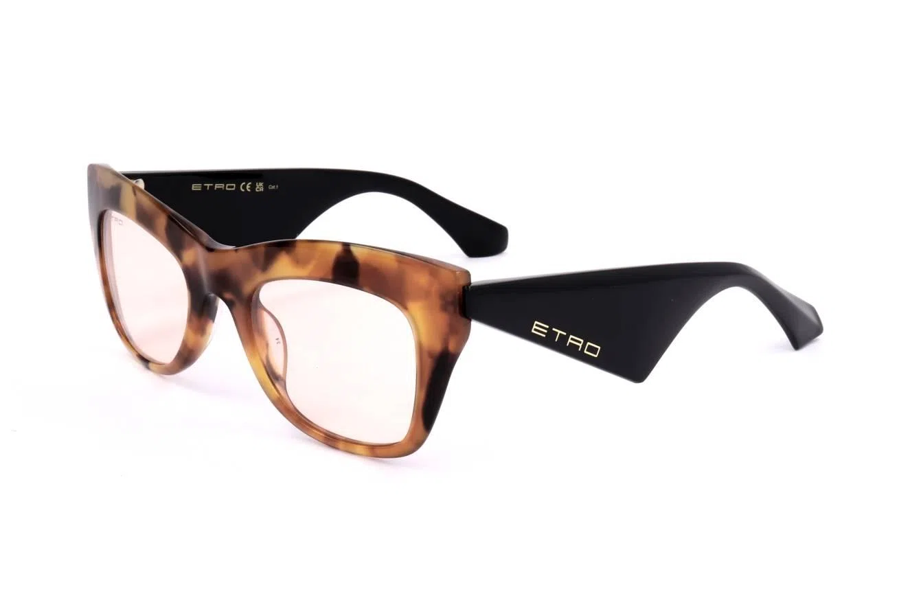 Etro ETRO0004_G_S Sunglasses - view 3